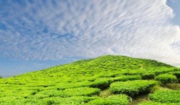 山林环保爆料怎么做视频,揭秘视频制作全攻略