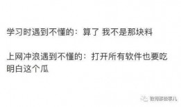 吃瓜发疯小说推荐知乎免费阅读,揭秘知乎免费阅读的精彩世界